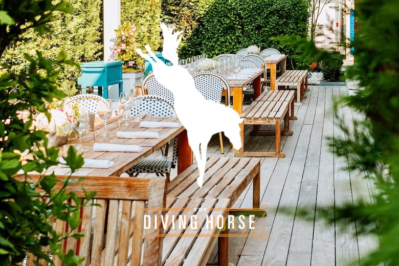 Things To Do The Diving Horse